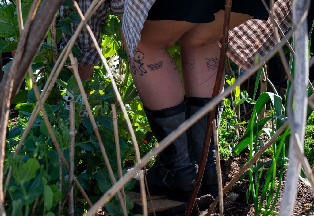 photo essay: community gardening at set&nbsp;social